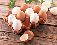 Многообразие яиц